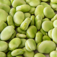 широкий боб