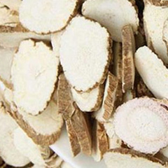 корень дагурской дыбки