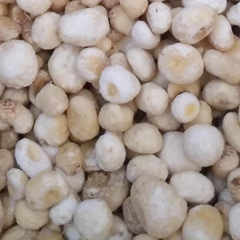 пинеллия терната