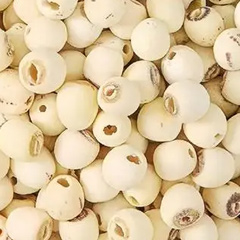 лотосовая семя