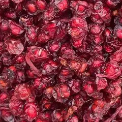 шизандра синьцзиньсис