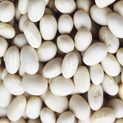 белая фасоль