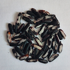 рис без оболочки