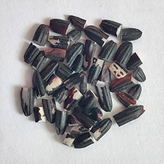 треснутый рис