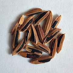 рис с неочищенными оболочками