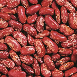 красный пятнистый боб