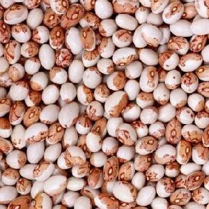 коровьи бобы