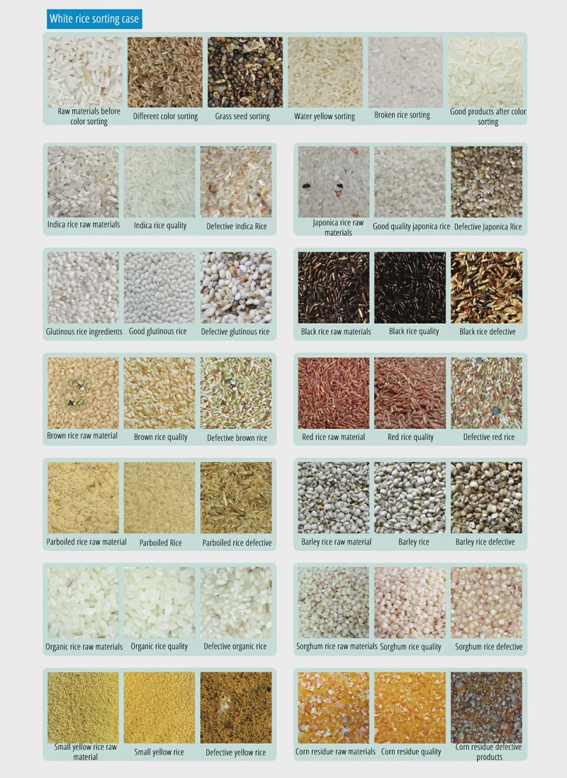 Sorting Effect Display