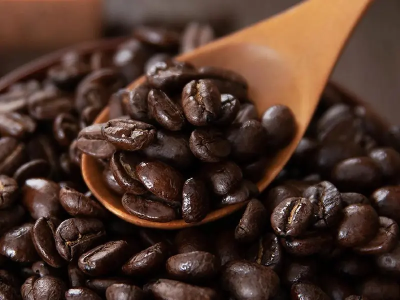 u=1256315288,3969985582&fm=3074&app=3074&f=JPEG