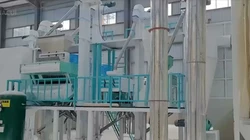 rice line