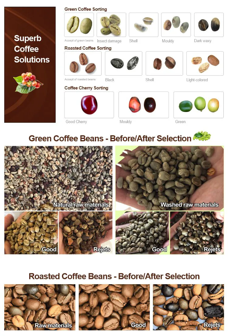 Sorting Effect Display