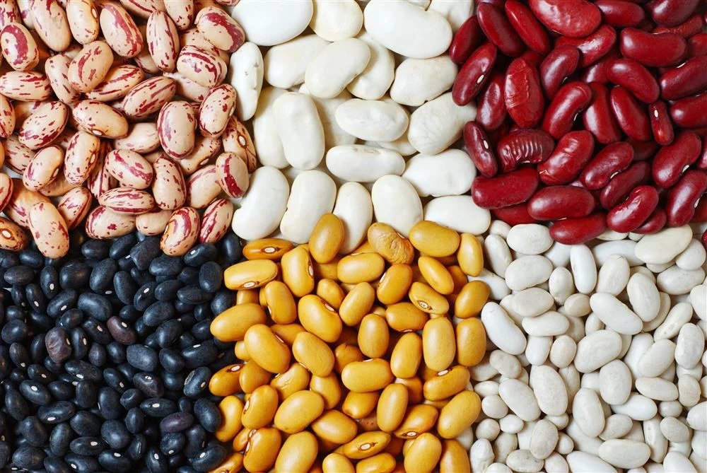 Bean and Pulse Color Sorter Machine: Why Legume Sorting Is Harder Than It Looks