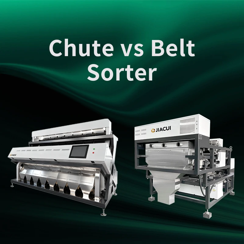 Chute Type vs Belt Type Color Sorter Machine: Which One Do You Actually Need?
