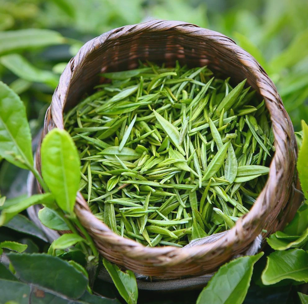 Tea Color Sorter Machine: What Tea Processors Get Wrong About Sorting Quality