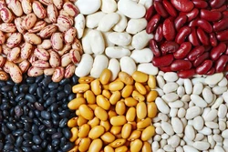 Bean and Pulse Color Sorter Machine: Why Legume Sorting Is Harder Than It Looks