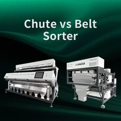 Chute Type vs Belt Type Color Sorter Machine: Which One Do You Actually Need?