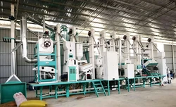 Rice Color Sorter Machine: Complete Guide to Technology, Selection & ROI