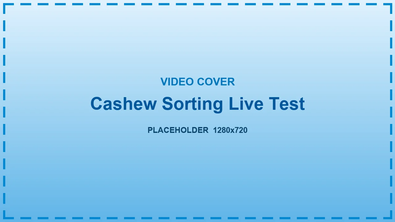 Live sorting test of cashew kernels on a JIACUI color sorter