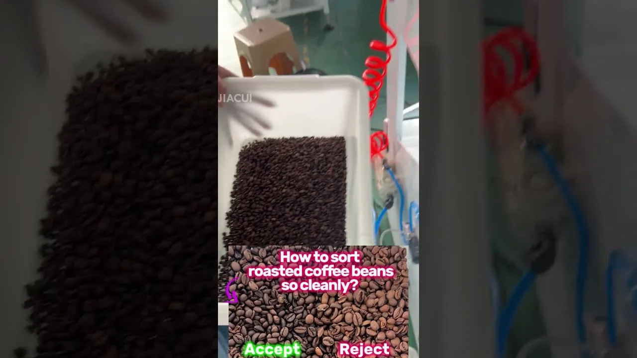Perfect Roast Quality: Roasted Coffee Bean Sorter in Action
